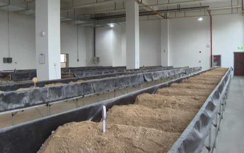 英山农商行“贷”动茯苓产业链发展