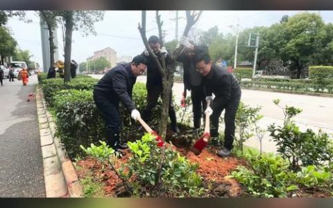 咸宁市城管执法委植树添新绿　城市更宜居