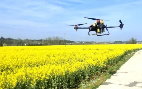 嘉鱼科技助力春耕 无人机“飞防”护航16万亩油菜丰收