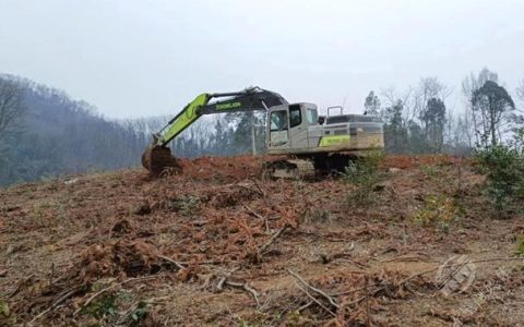 赤壁官塘驿林场锚定现代化国有林场建设目标