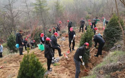 赤壁市烟草专卖局：开展植树节义务植树活动