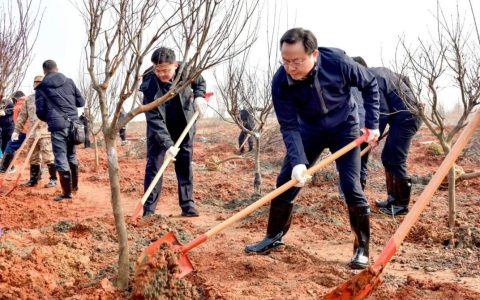 孙兵王玺玮等市领导参加义务植树