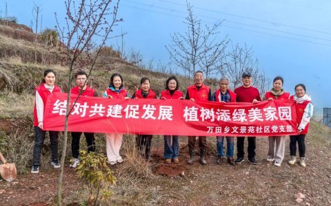 共植红枫添新绿 美丽湖理谱新篇：湖北理工学院开展第48个植树节主题活动