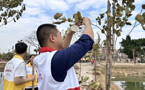 春回狮山，师生携手植树护绿
