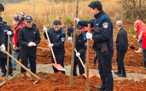 公安县开展义务植树活动 为生态公安再添新绿