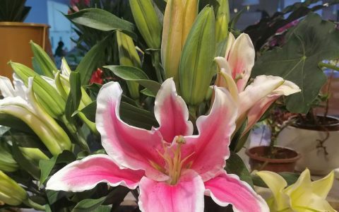 从“卖凉风”到“卖算力”