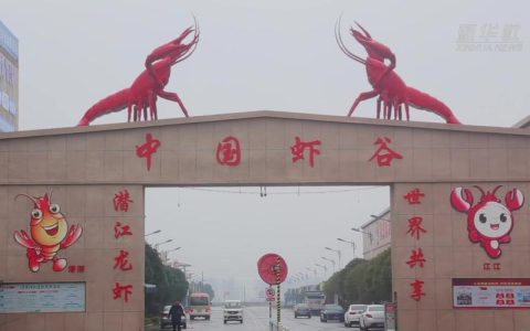 中国虾谷：服务“上新” 商户“安心”