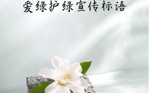 植绿护绿践初心