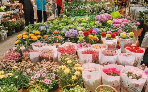 海内外市场 多点开花