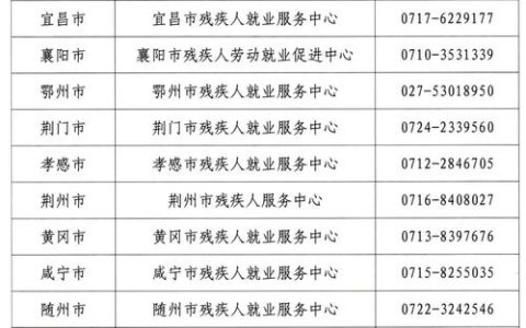 荆门启动残疾人按比例就业联网认证