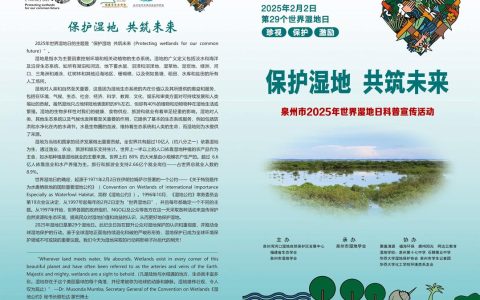 咸宁向阳湖湿地专项整治过度放牧筑牢生态保护防线