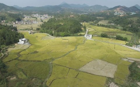 咸安浮山街道民生项目提速盘活闲置土地 激活集体经济