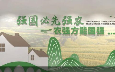 抢抓农时备春耕 实干赋能丰产年 赤壁黄盖湖镇全方位护航农业高质量发展