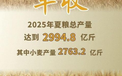 赤壁“虫口夺粮”守护夏粮丰收