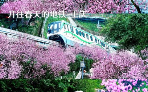 “最美观江地铁”驶入春日画卷