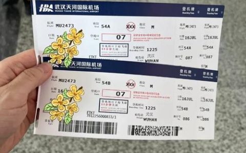 可以“踩着点”赶飞机了，武汉首条“一刻登机”航线开通