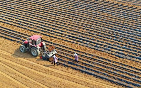 周矶街道抢抓农时发放化肥 护航春耕生产