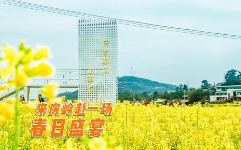 赴一场春日的盛宴