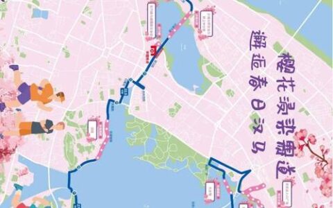 不止奔跑，更是漫步！汉马42公里赛道藏着“春日赏花观景长廊”
