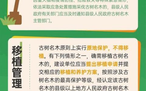 守护千年古树绿意 法治护航生态根基