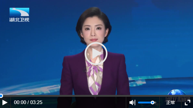 代表委员回基层