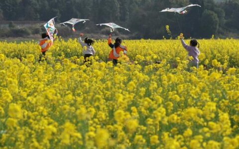 春天里，看见活力涌动的中国
