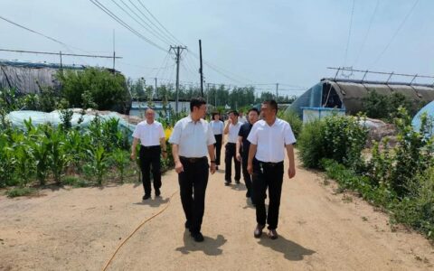 陈红辉调研农业农村工作时强调  全力抓好春季农业生产 推动农业增效农民增收