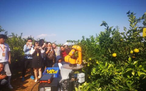“田间课堂”为柑橘产业注入科技动能