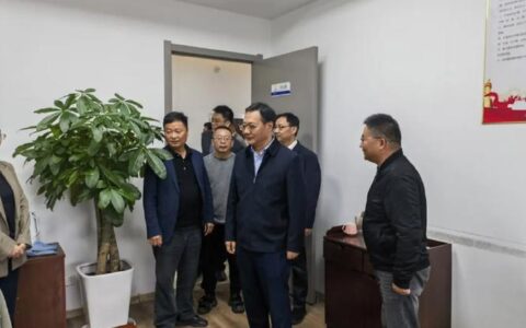 马泽江调研群众身边不正之风和腐败问题集中整治工作