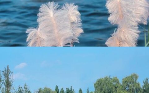 留学生走进牯牛洲邂逅春日浪漫