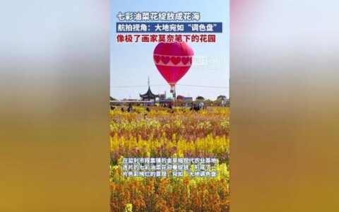 监利程集古镇“七彩烂漫游”启幕 沉浸式文旅酒村成最大亮点