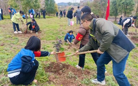 咸宁职院植绿护绿共育中外友谊