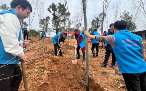 咸安区烟草专卖局组织党员志愿者开展义务植树活动