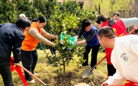 播新绿添馨香  咸安大地涌动植树热潮