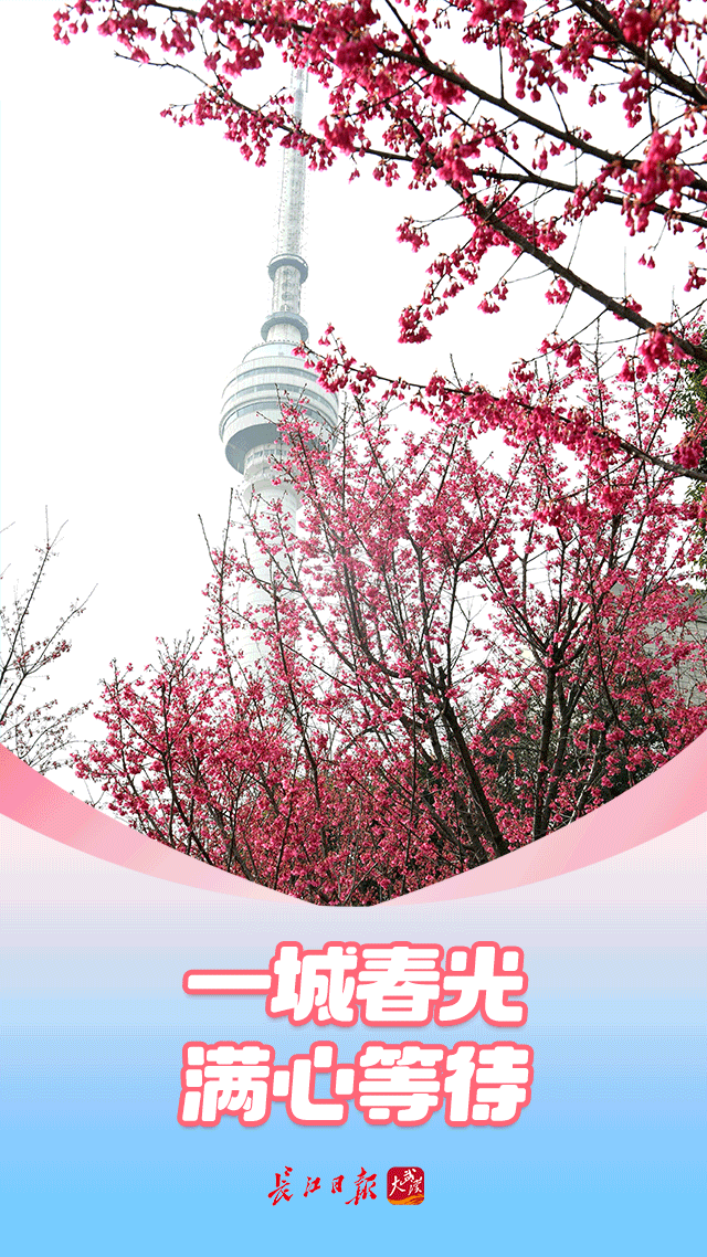 春天里，看见一个活力富足的中国