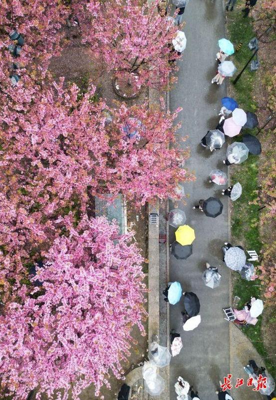 春天里，看见一个活力富足的中国
