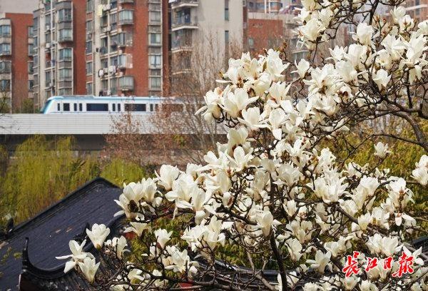 春天里，看见一个活力富足的中国