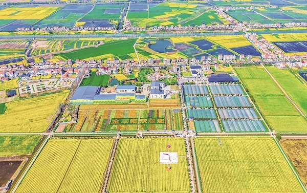 监利程集古镇“七彩烂漫游”启幕 沉浸式文旅酒村成最大亮点