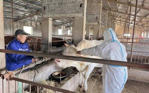 熊口管理区启动2026年春季动物疫病集中防控行动