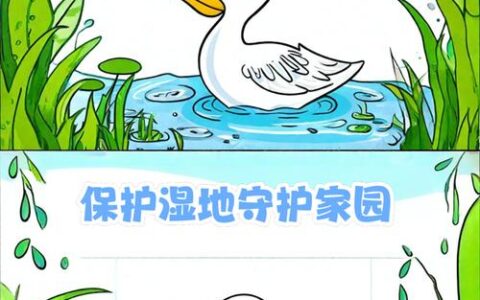 守护湿地精灵，共建生态家园