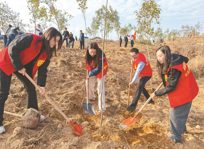 麻城财政青年为大地披“绿装”