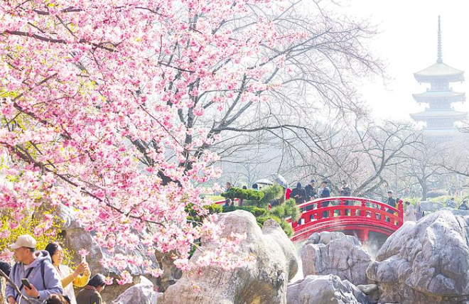 全球游客为何奔赴武汉的春天