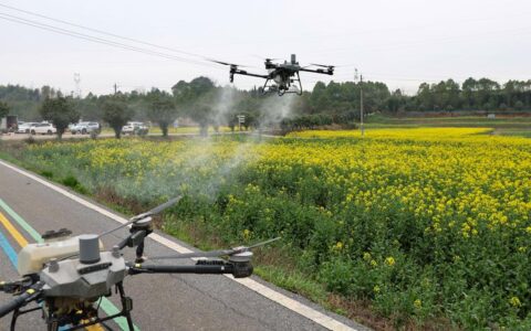 植保无人机搭载北斗导航空中管护阳新35万亩油菜田