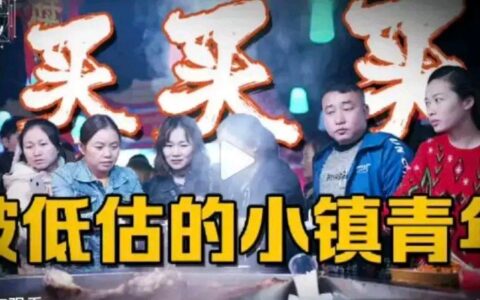 小镇来了年轻人