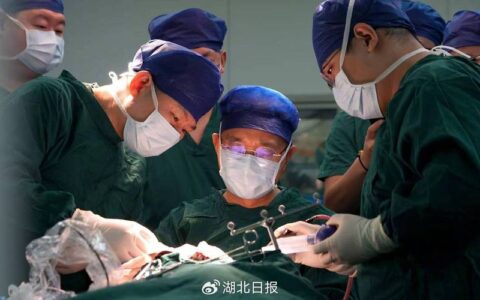 湖北竞速脑机接口新赛道