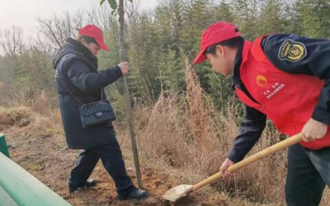 麻城财政青年为大地披“绿装”