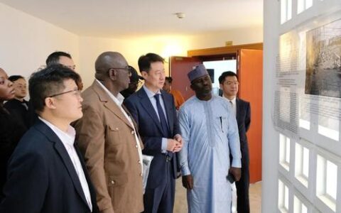 荆门太极高手受聘尼日利亚使馆