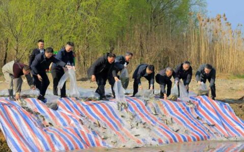 守护一湖碧水  咸安开展渔业人工增殖放流活动