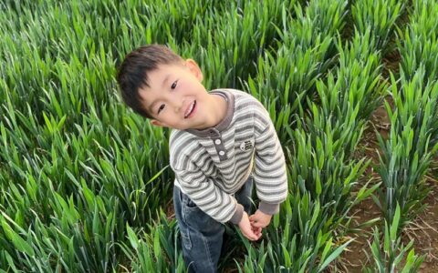 三月春风绿意浓  咸安萌娃护绿在行动