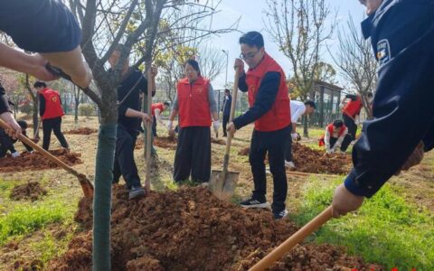 嘉鱼县高铁岭镇：春风催新绿 植树正当时
